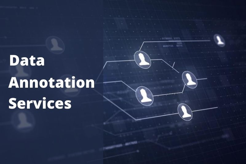 Data Annotation Services