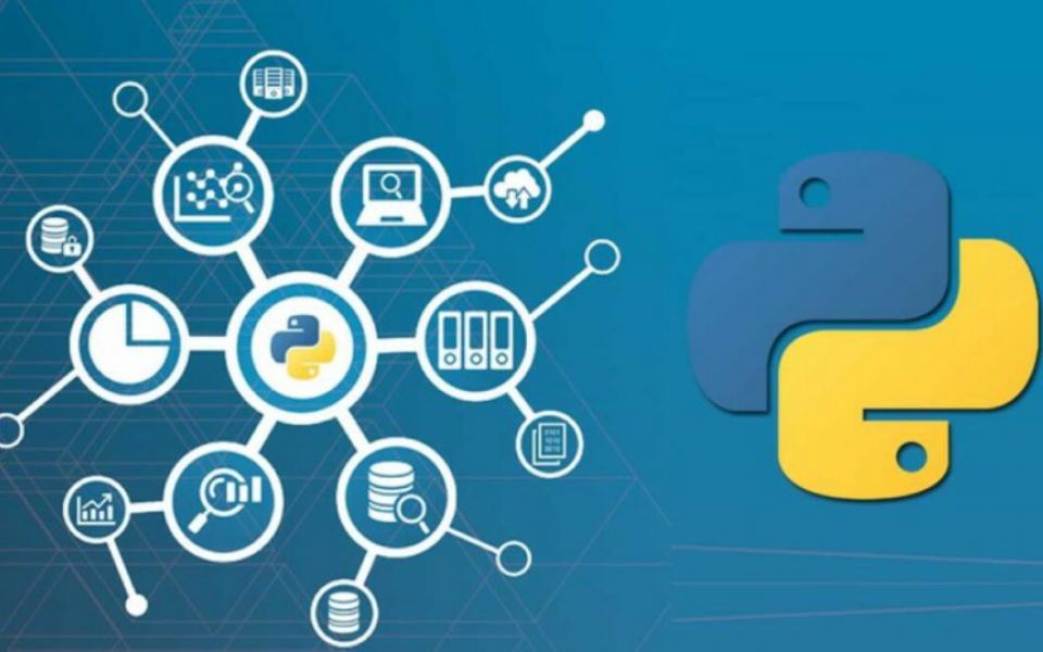 Why Python Is Crucial for Data Science and Analysis