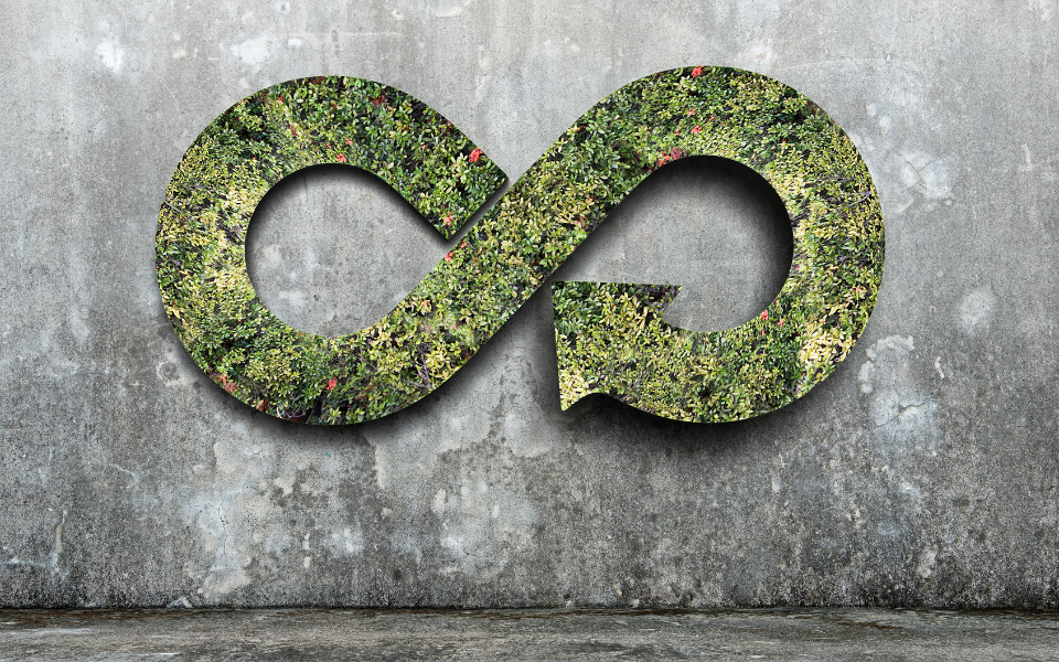 Building a Circular Economy: Technology Solutions for Waste Management and Recycling