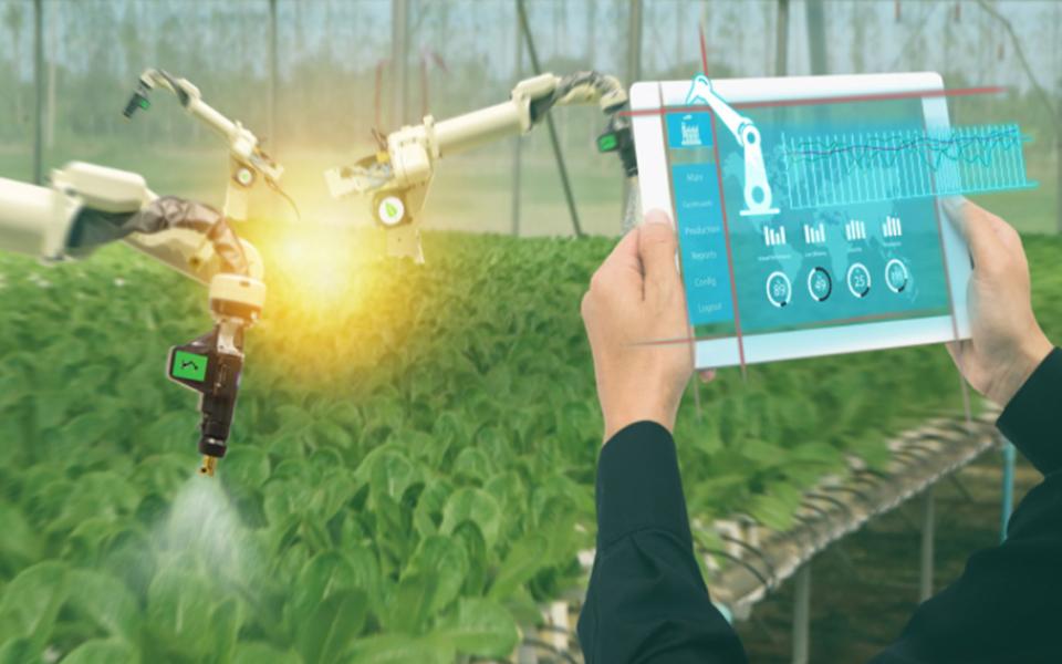 How to successfully and quickly dial down energy bills in the CPG sector using IoT?