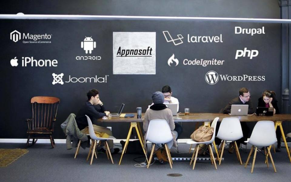 How to Hire woocommerce Developer ?