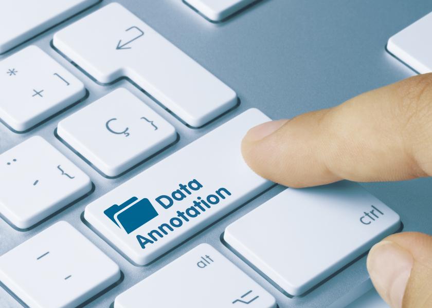 Two building blocks of data annotation services –Workforce + Platform