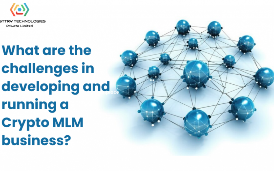 What are the challenges in developing and running a Crypto MLM business?