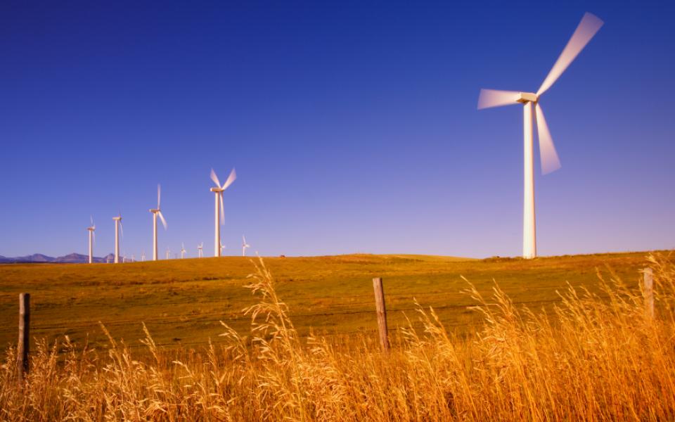 Enabling Sustainability through Cloud : Zero Waste, Zero Emissions and Zero Inequality