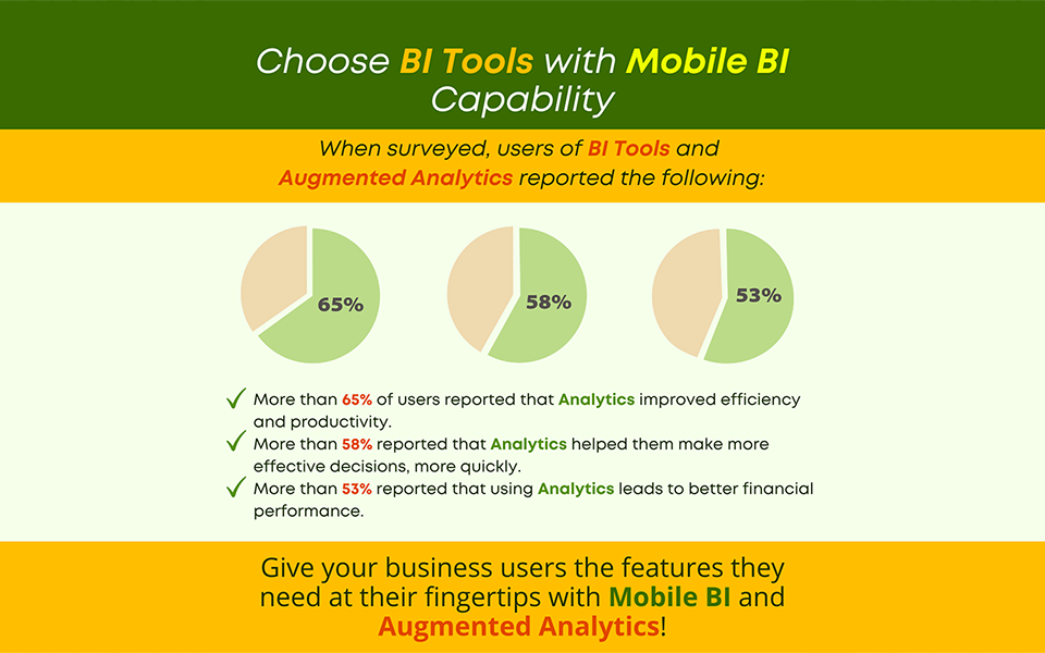 Choose BI Tools with Mobile BI Capability
