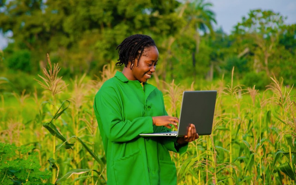 Empowering Kenya's Agriculture Transformation