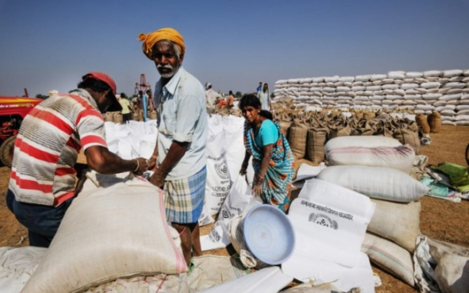 Reformation of Farm-to-Fork Supply Chain