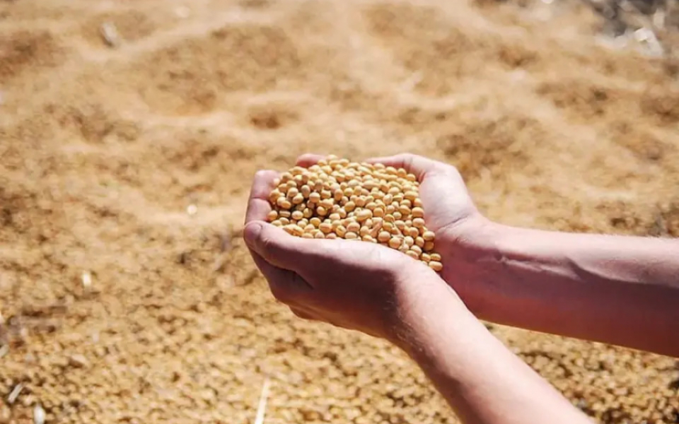 GovTech For Seamless Food Distribution System
