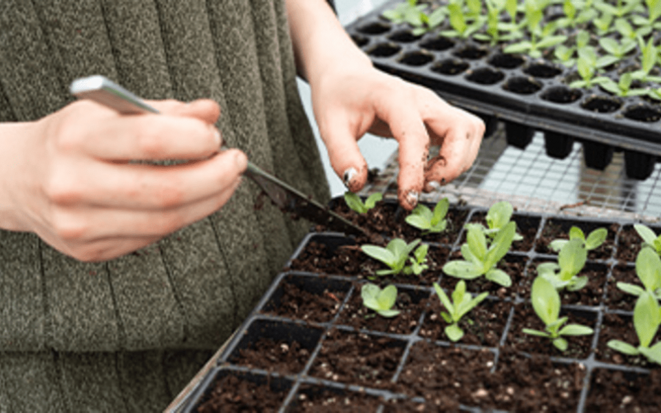 Effective Soil Management System