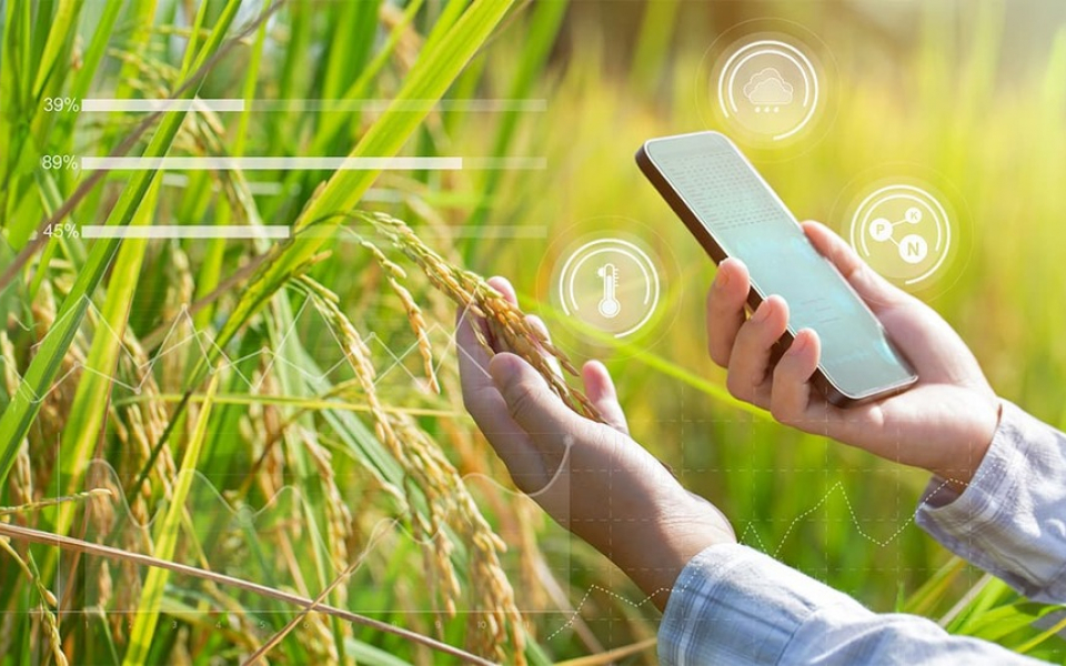 How AI can Catalyze Agriculture for a Food Secure World