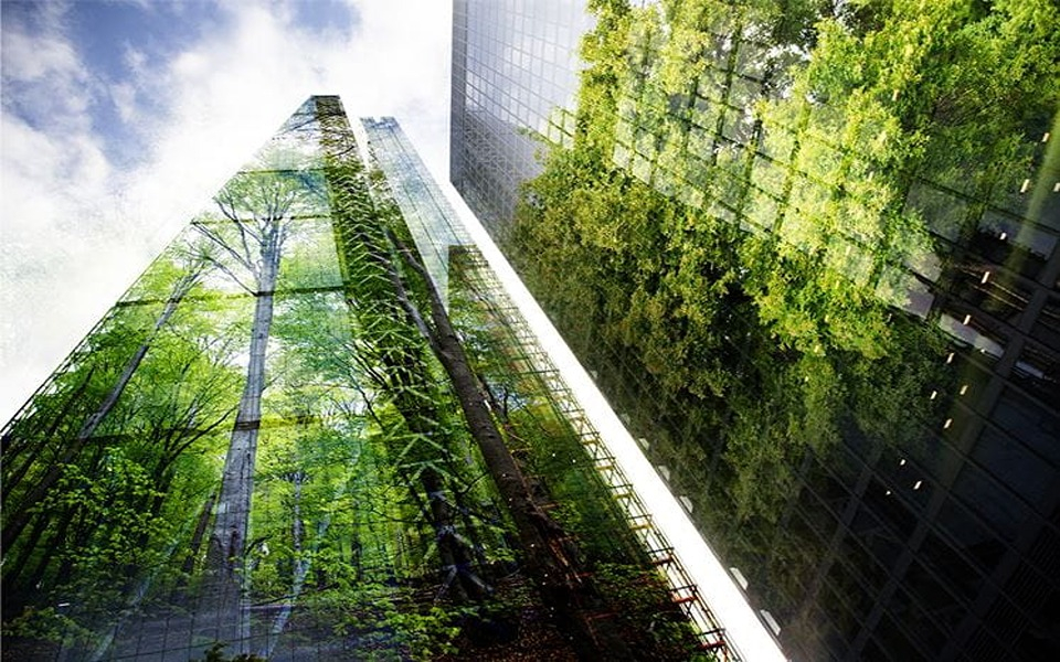 ESG Strategies for Environmental management