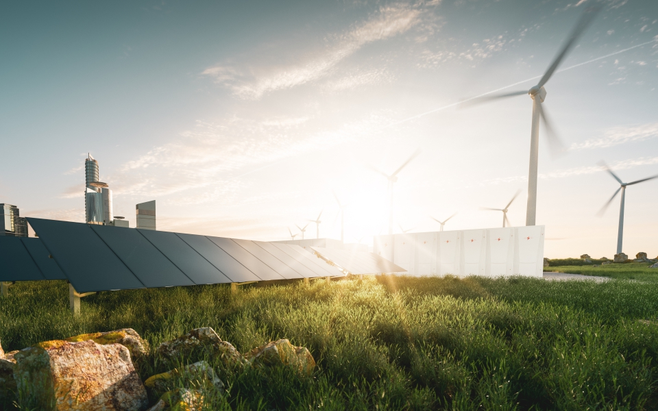 Biting the Sustainability Bullet 