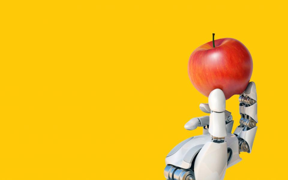 Automation in Indian Agritech Compared to US