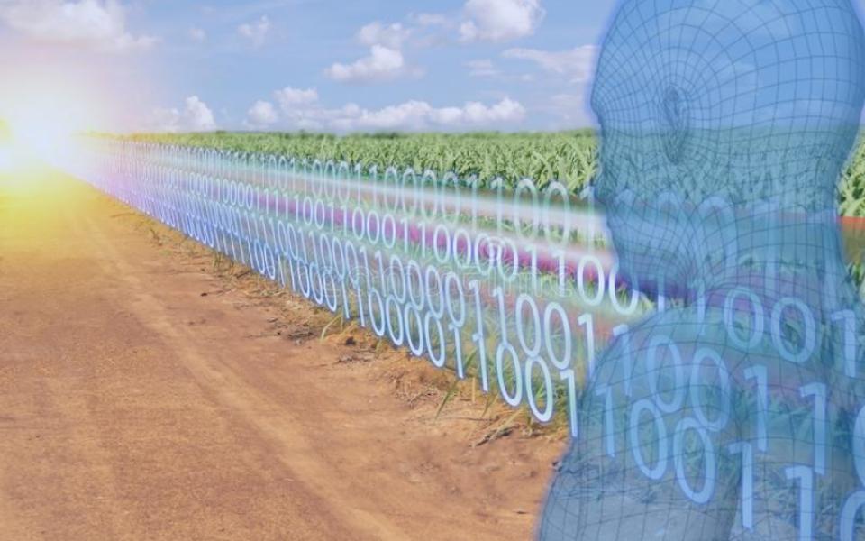 AI in agriculture
