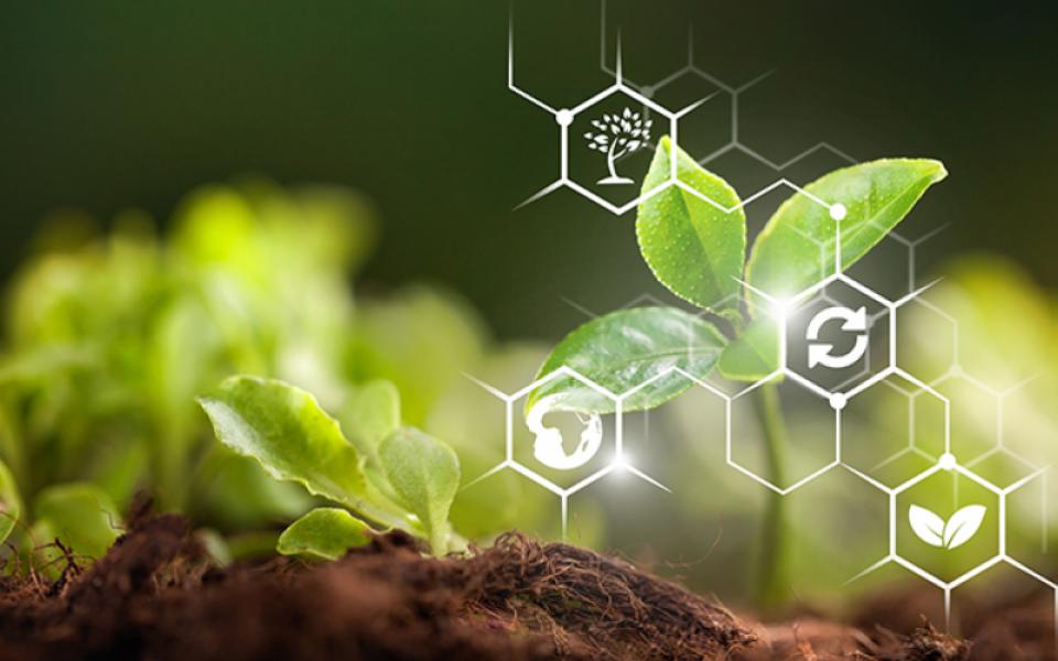 AI in Agriculture: Using Artificial Intelligence to Develop Agriculture System