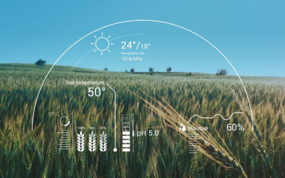 AI IN AGRICULTURE