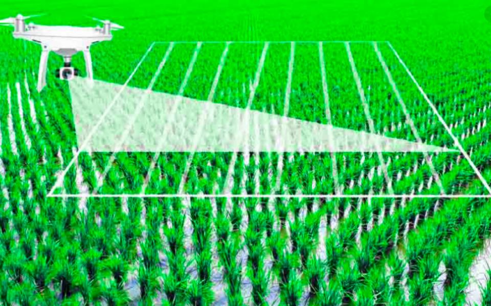 Predict And Build Crop Forecasting Model Using Artificial Intelligence: