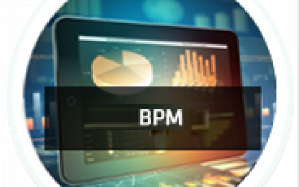 Business Process Modelling in the Shipping and Logistics Industry