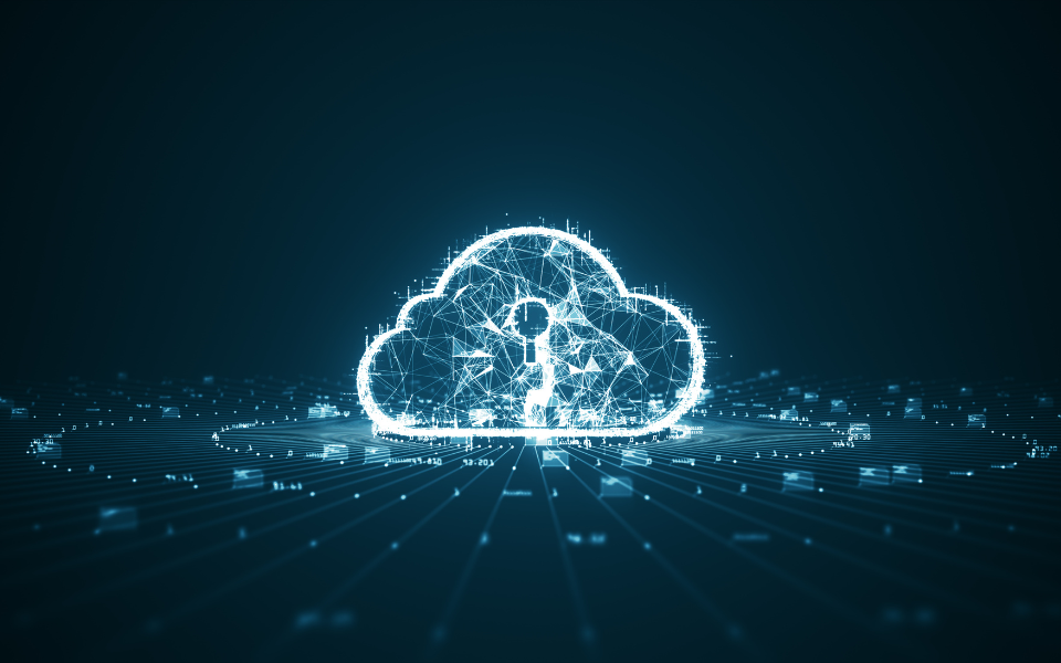 Collaborative Governance: How Cloud Platforms Facilitate Interagency Cooperation