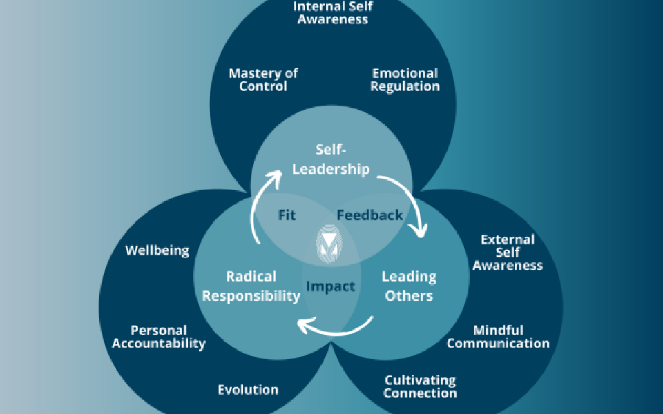  Inclusion Initiative and Wearehumanleaders Partnership 