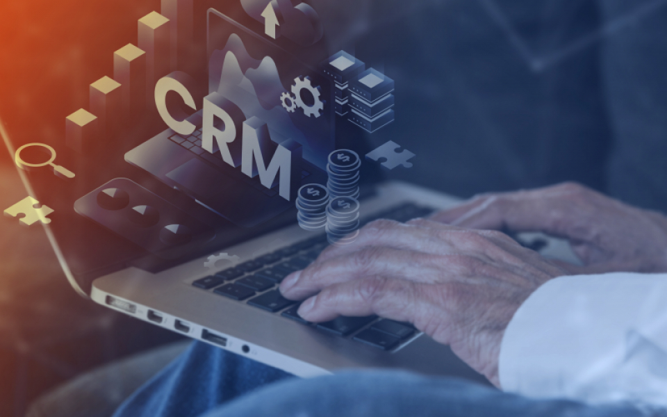 Elevate Your Custom Web Development with the Right CMS.