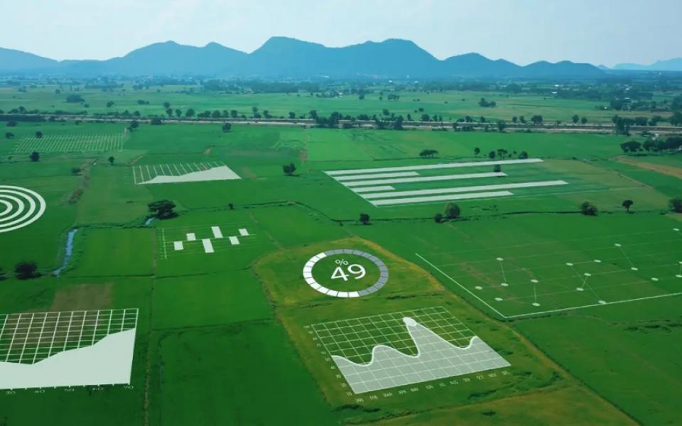 How Crop Analytics Is The Right Balm For Procurement Pain