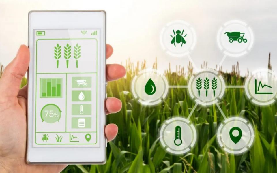 Crop Analytics Can Reform Agri Procurement