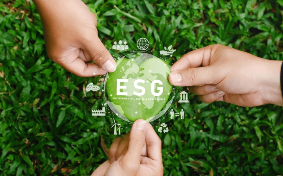 What are ESG Ratings? Investors Guide 