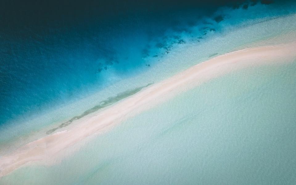 The Rising Need for ESG Disclosure and Transparency 