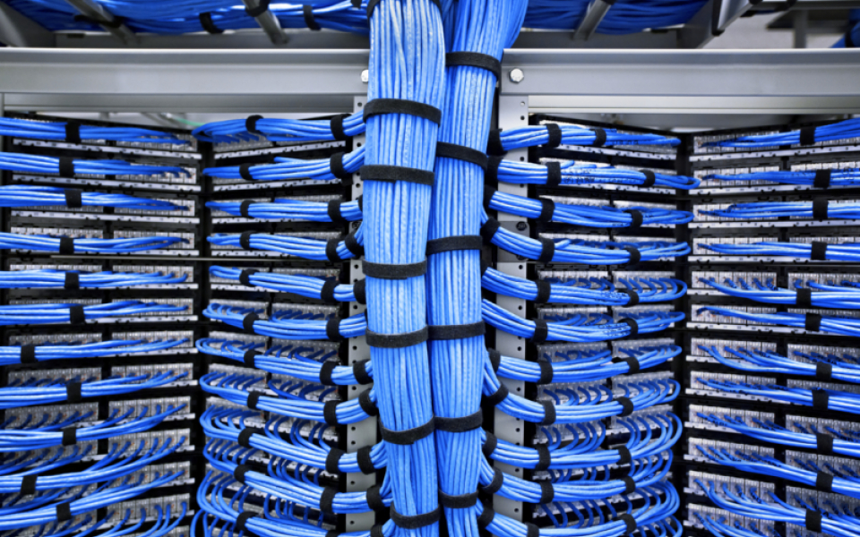 Elevate your cybersecurity defences