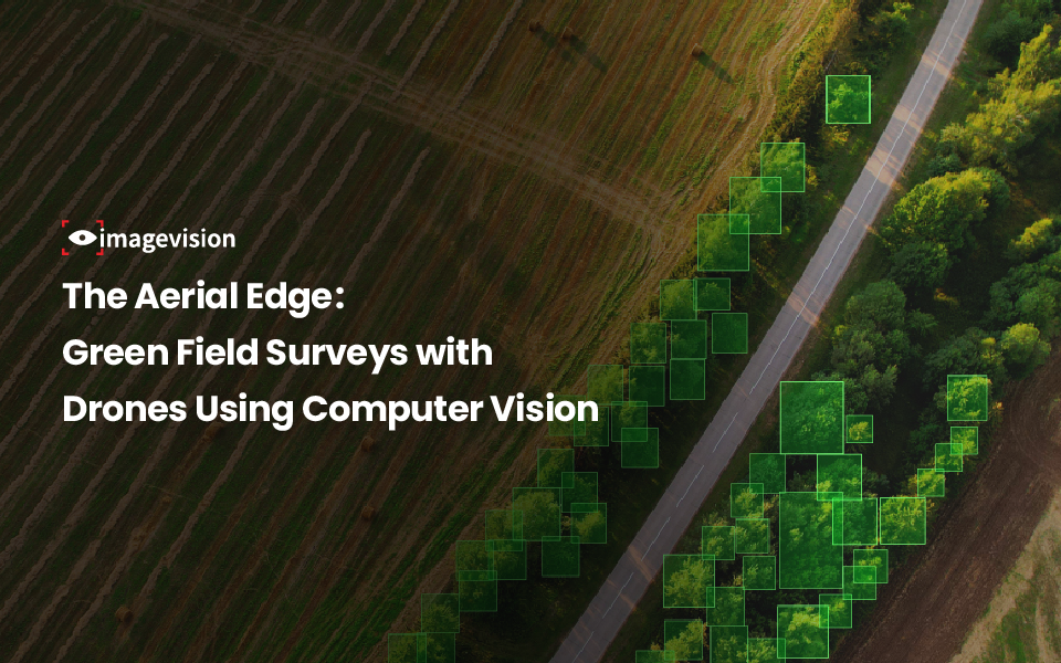 The Aerial Edge: Green Field Surveys with Drones Using Computer Vision 
