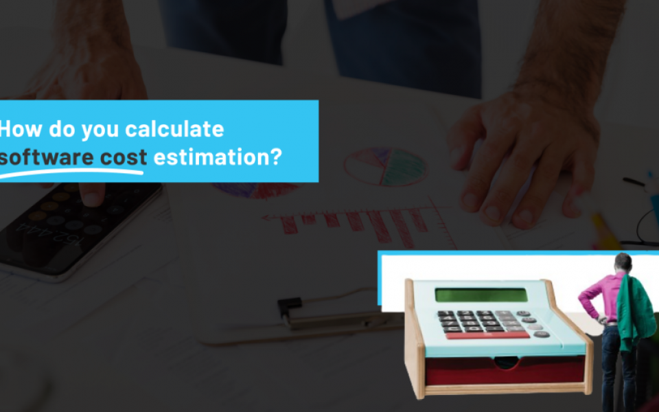 How Do You Calculate Software Cost Estimation?