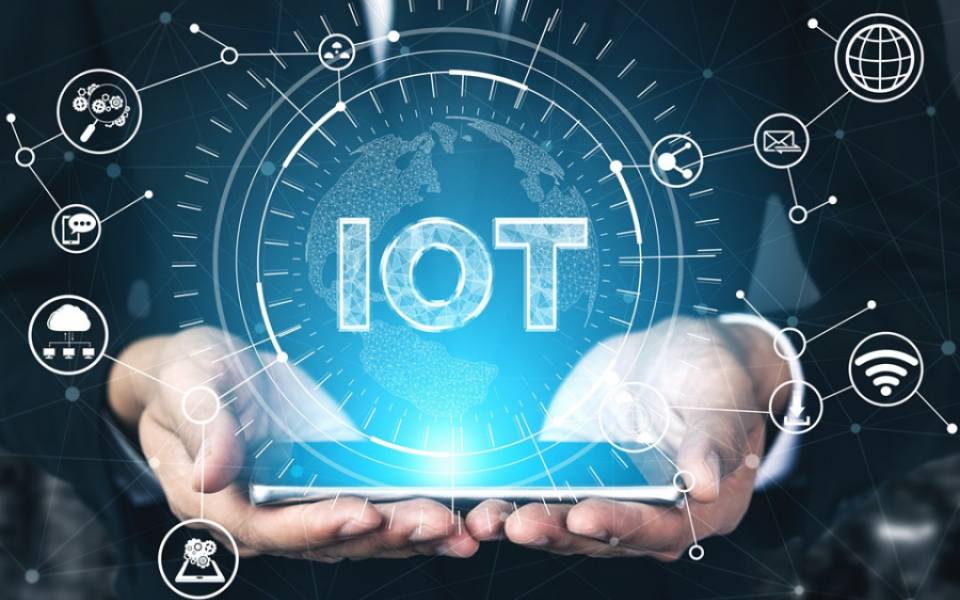 IoT Solutions Company Transforming Industries with Innovative Technology