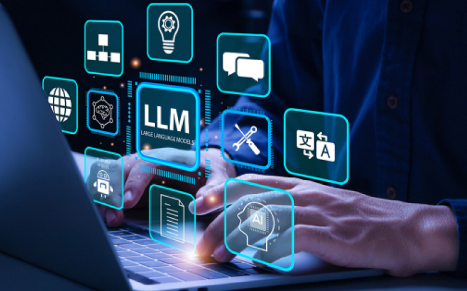 Navigating the Risks : Cautionary Insights into Large Language Models in Banking