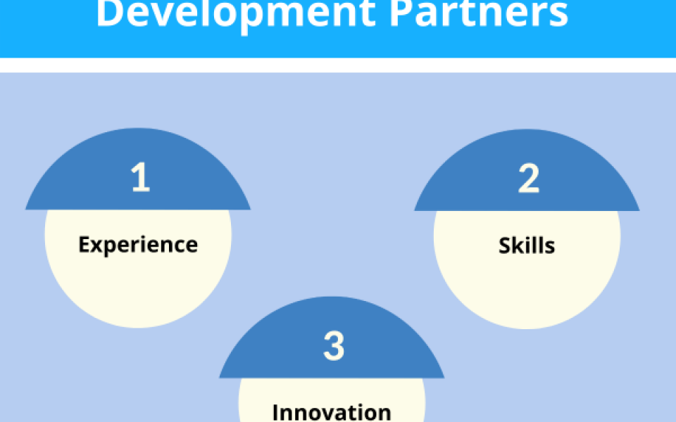 3 Things to Ask Prospective Custom ERP Software Application Development Partners