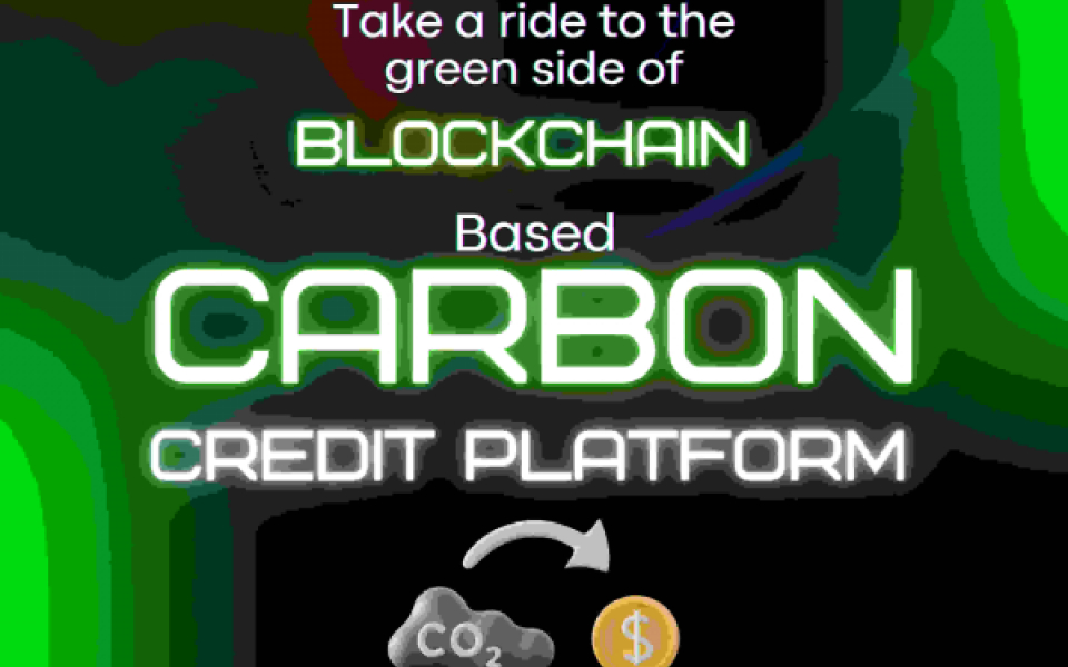 Blockchain carbon credit platform development