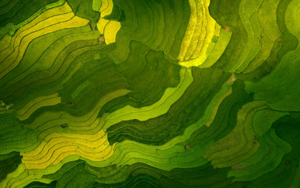 Shaping the Future: Accelerating the Green Energy Revolution