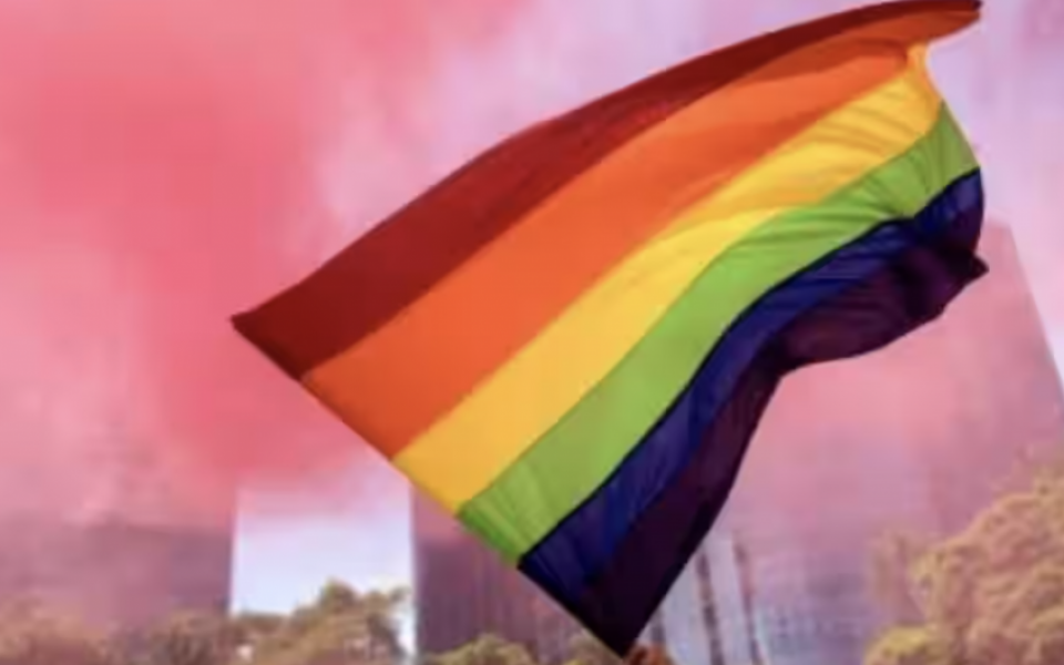 Understanding and embracing LGBTQ+ diversity: A journey towards inclusion