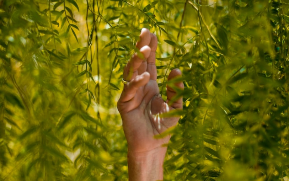 The Importance of Sustainable Agriculture 