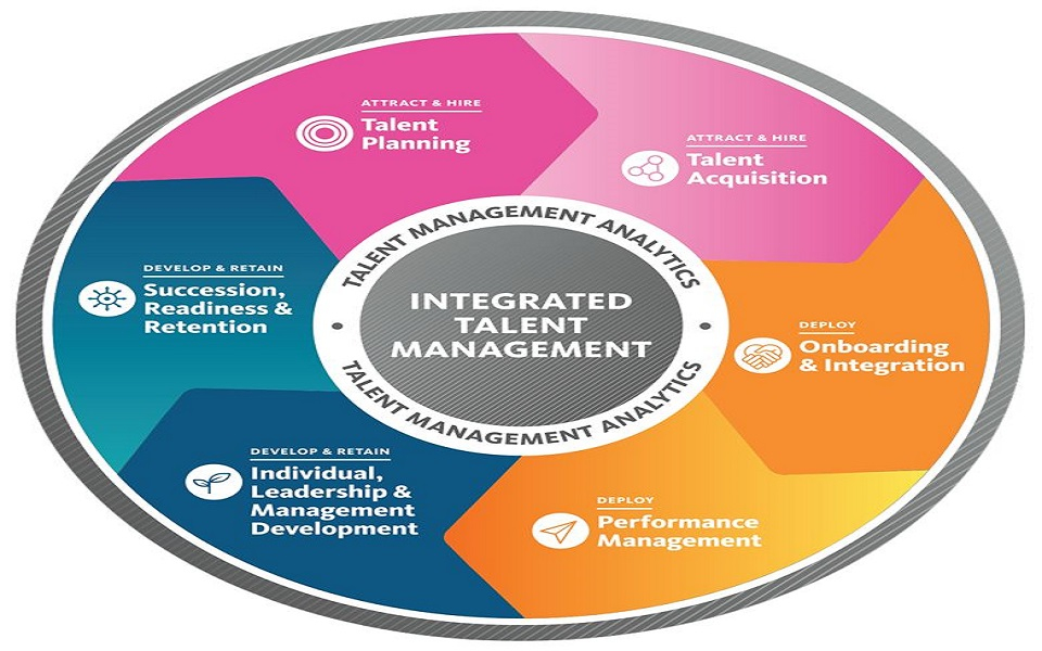 Transforming the Startups: Unleashing the Power of Talent Management