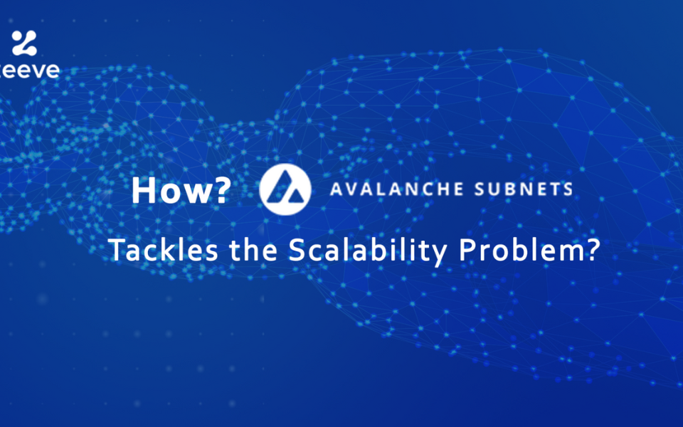 How Avalanche Subnets Tackle the Scalability Problem?