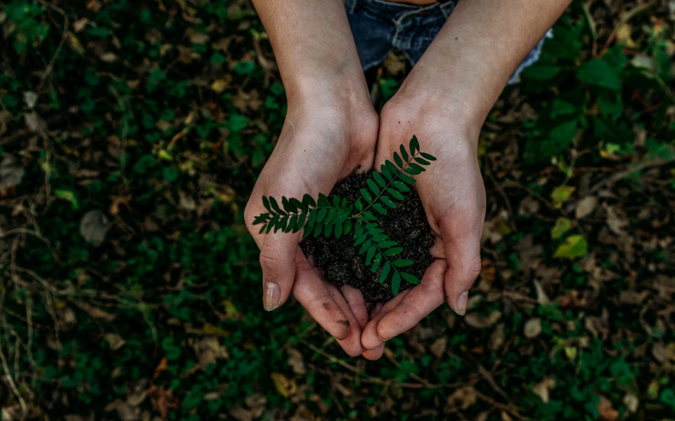 How Can Developing Women Leaders Enhance Corporate ESG Operating Models?