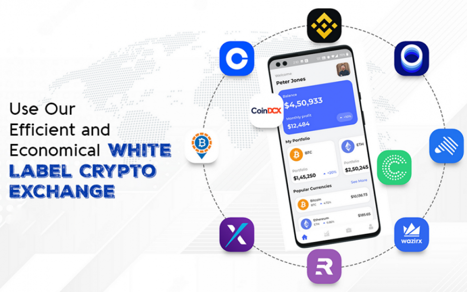 Unlocking Potential: The Power of White-Label Crypto Exchange Development