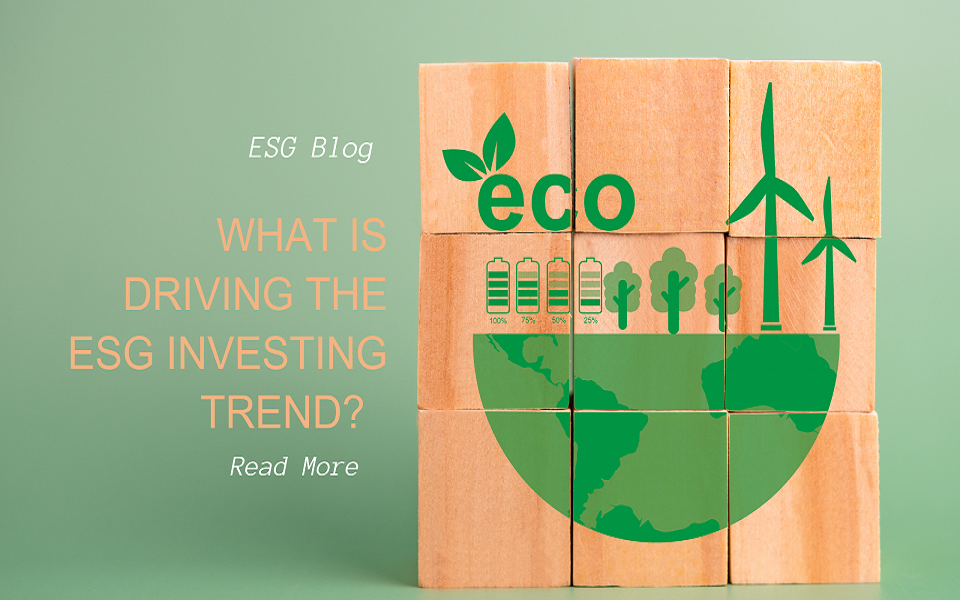What is Driving the ESG Investing Trend?  