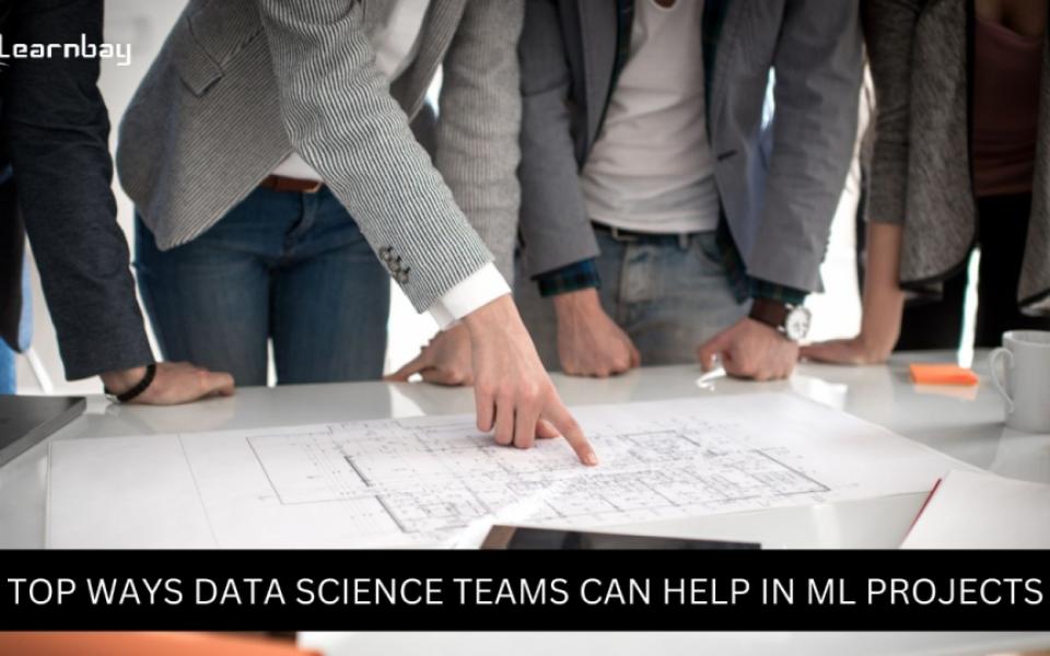 Effective Ways Data Science Teams Can Assist with ML Projects