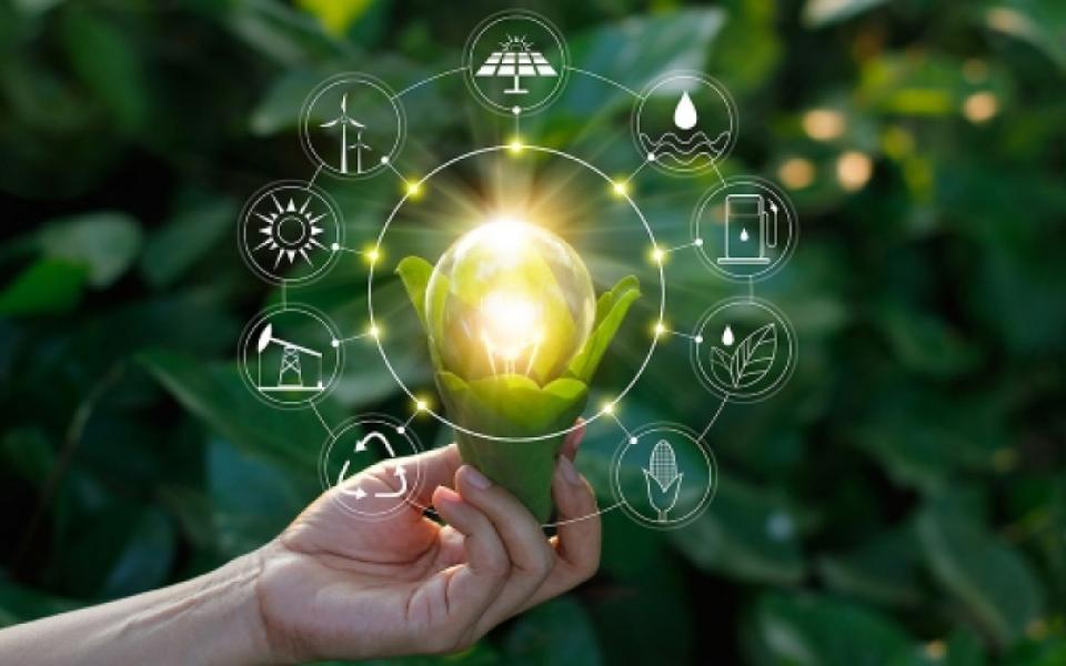A Global Rush of Net-Zero Transitions - The Future Is Now