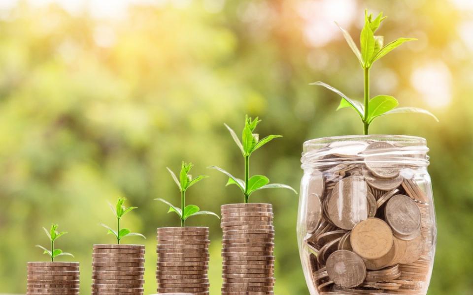 Learnings from NTLF: Do businesses have a soul?