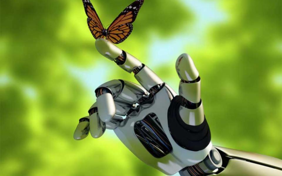 AI in environment tech