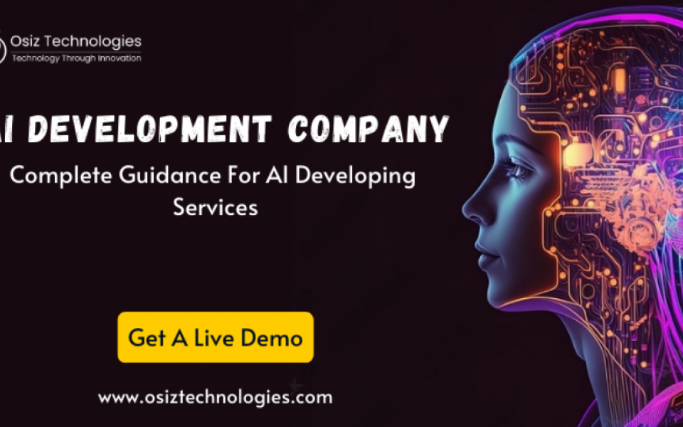 Ultimate Guide To Pick Out The Best AI Solutions Provider To Empower Your Business