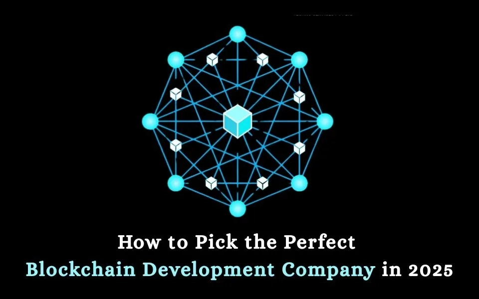 How to Pick the Perfect Blockchain Development Company in 2025